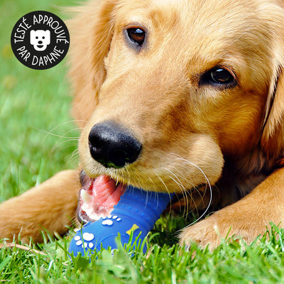 Jouet os pour chien en vinyle qui couine