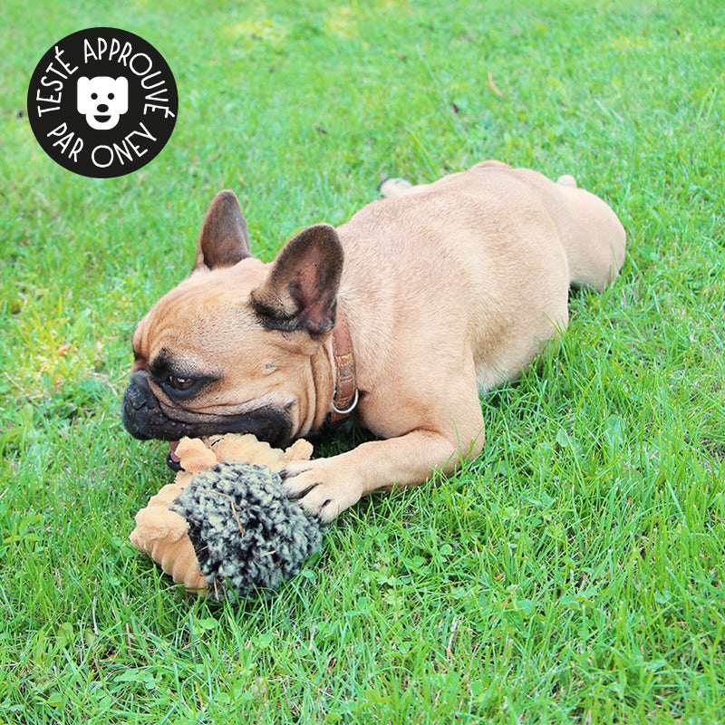 Jouet peluche hérisson sonore pour le chien et le chiot