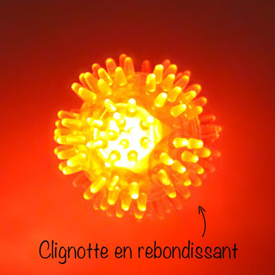 Balle lumineuse pour chien – Balle hérisson clignotante et rebondissante