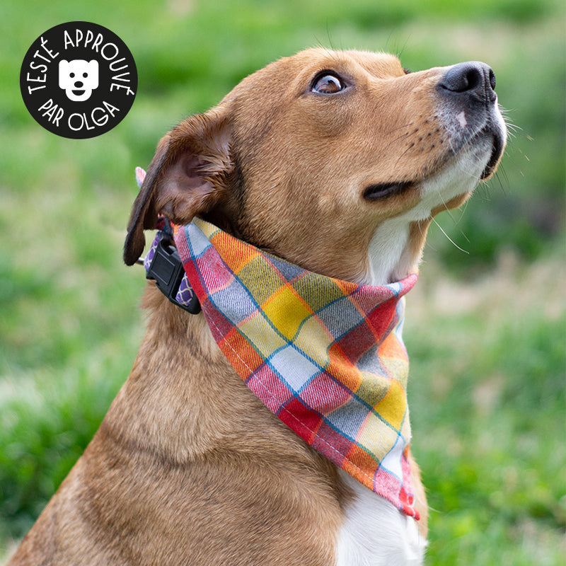 bandana pour chien foulard à carreaux tartan