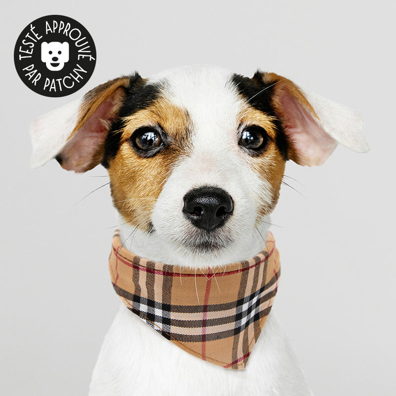 Collier bandana pour chien écossais tartan