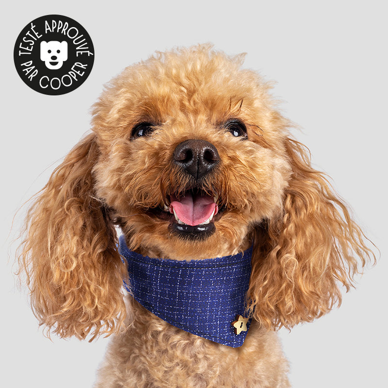 Collier bandana pour chien foulard bleu