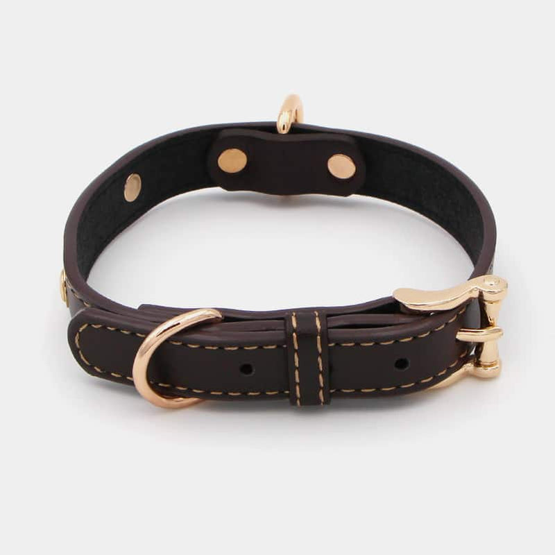 collier en cuir métal doré pour le chien et le chiot