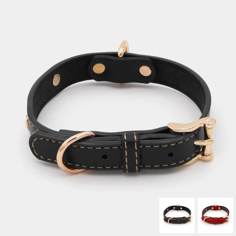 collier en cuir métal doré pour le chien et le chiot