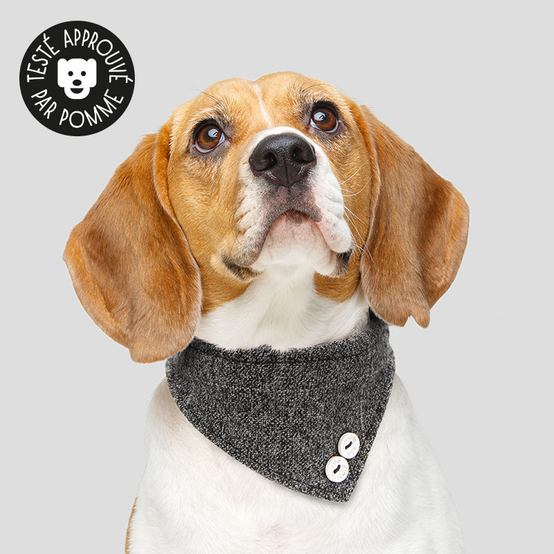 Collier bandana pour chien foulard gris