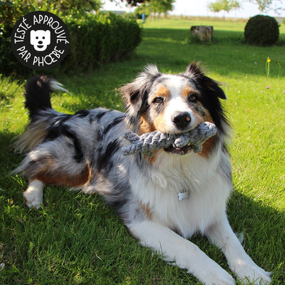 Jouet en corde pour chien – peluche chien à mâcher