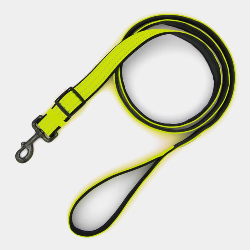 laisse sport fluo en nylon réfléchissante pour chien et chiot