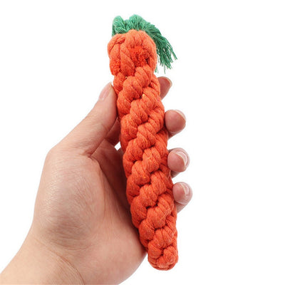 jouet carotte pour chien