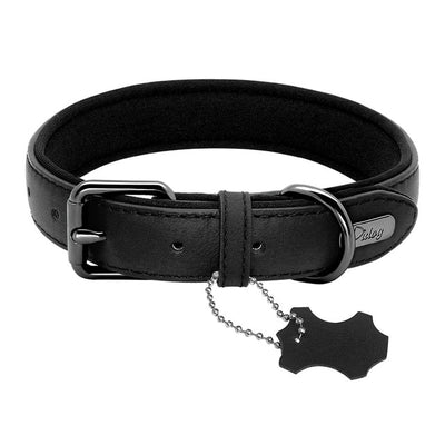 collier chien cuir neoprene