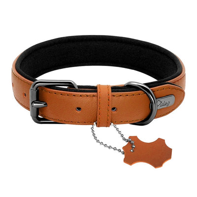 collier berger australien neoprene cuir